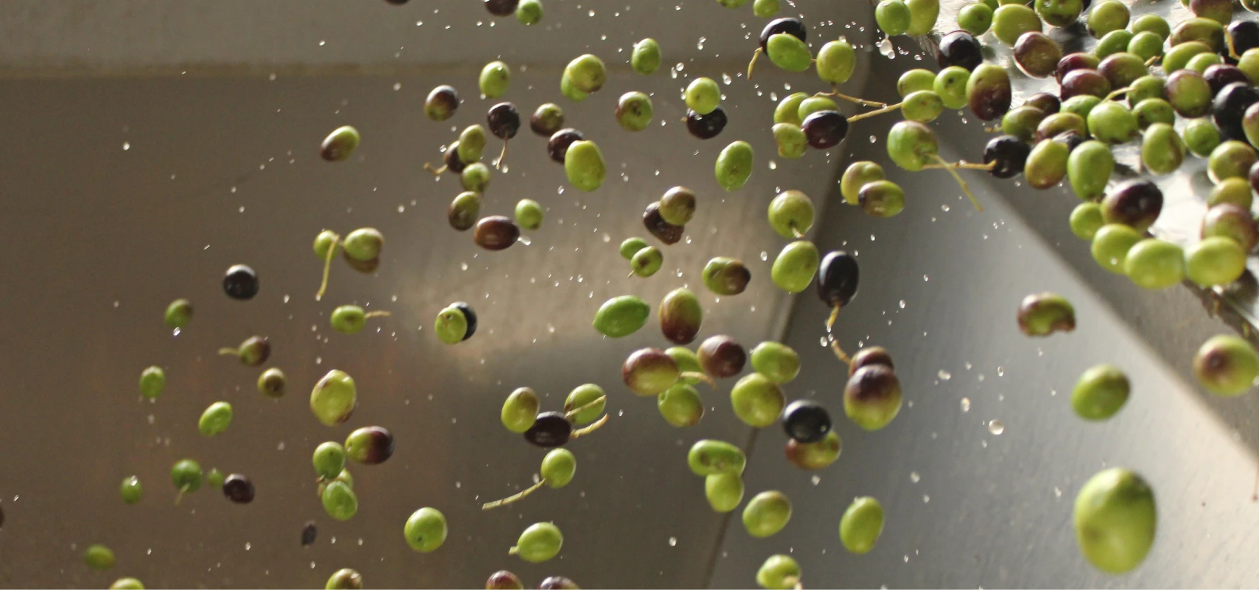 aceitunas