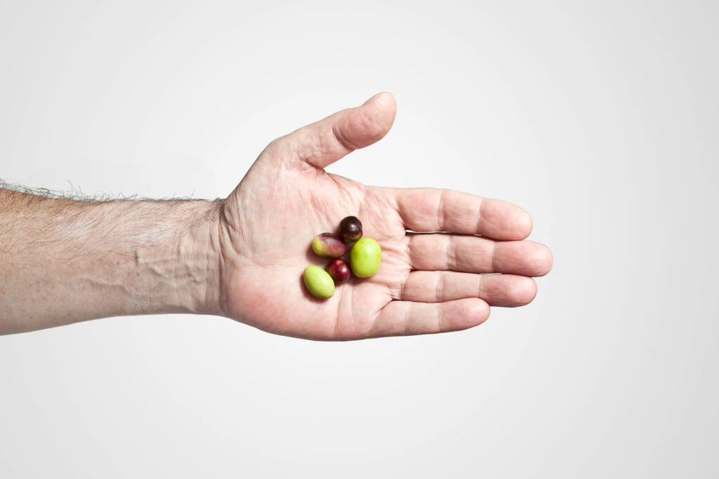 aceitunas